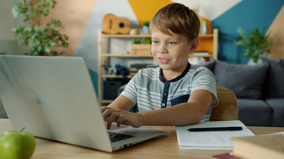 online learning setup